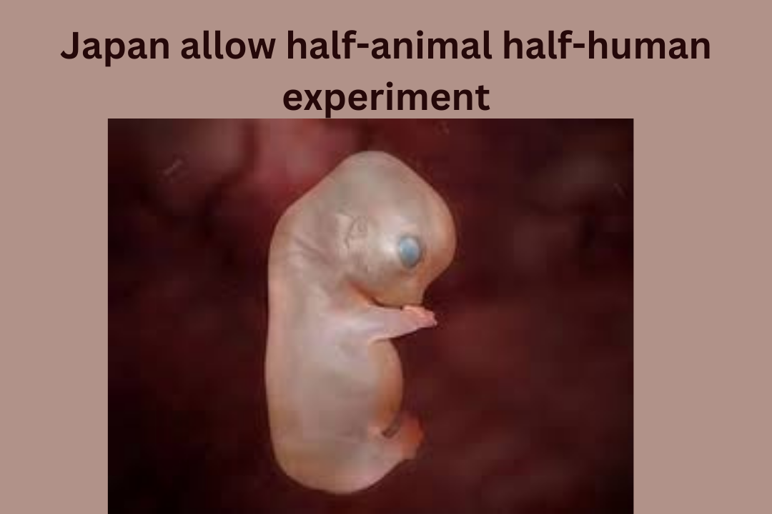 Japan allows half-human half-animal experiment