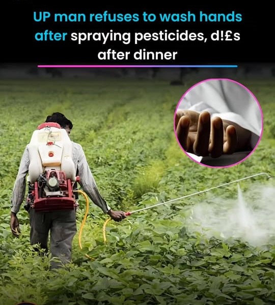 A 27-year-old man in Mathura died after refusing to wash hands post spraying pesticide in field. He fell ill after dinner and was declared dead at the hospital.