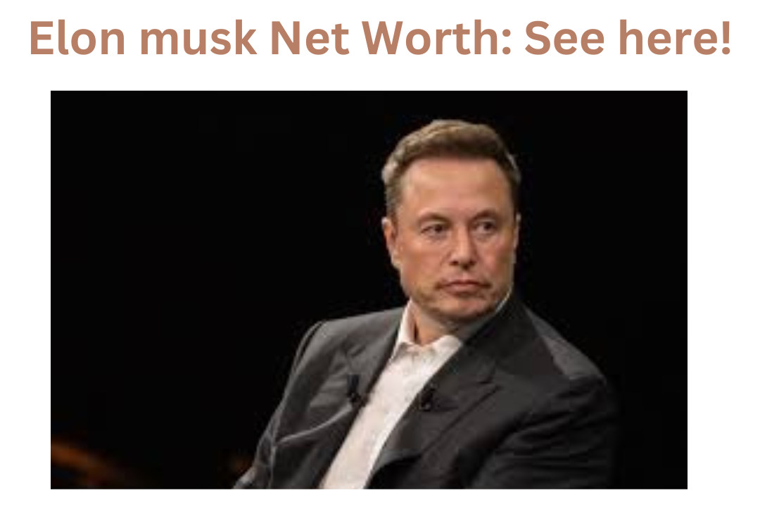 Elon musk Net Worth: See here!