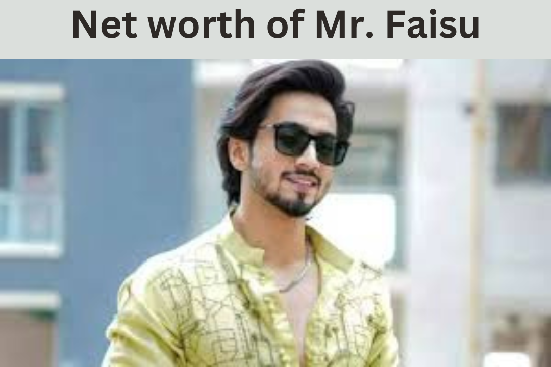 mr. faisu net worth