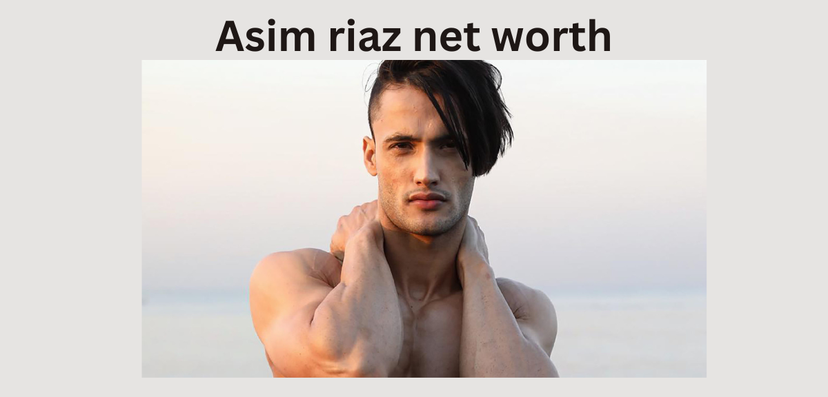 Asim Riaz Net Worth 2025: The Star Now Owns Assets Worth ₹50 Crores!